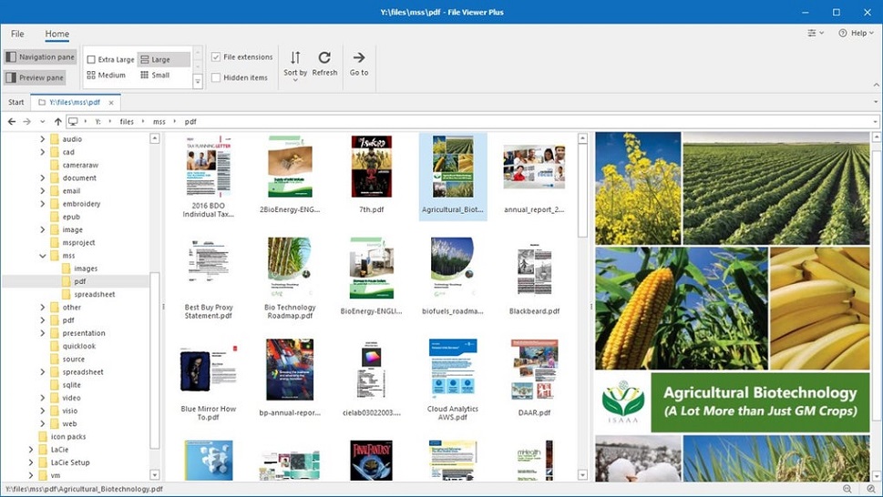 File Viewer Plus