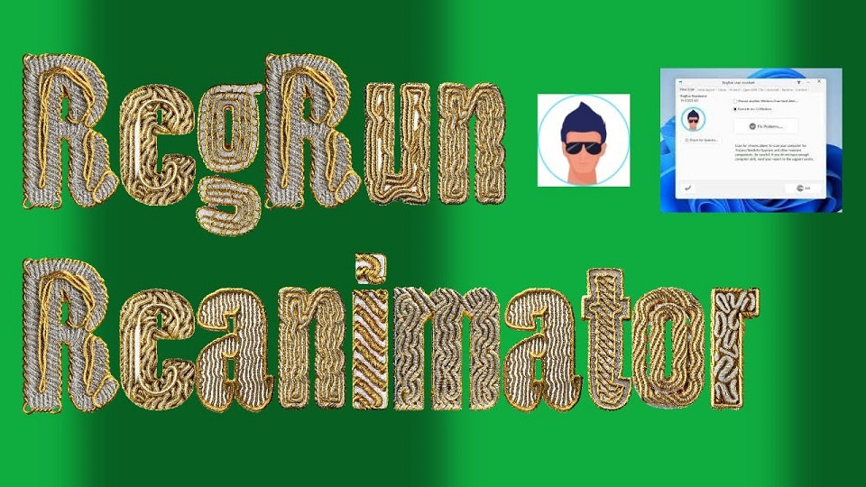 RegRun Reanimator