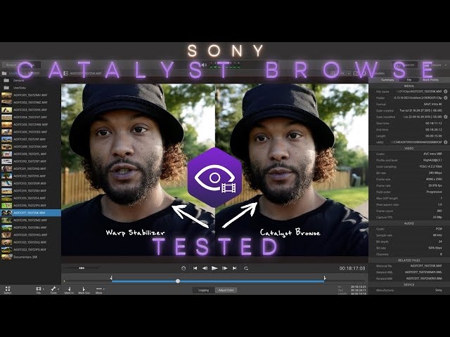 Sony Catalyst Browse