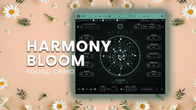 Harmony Bloom